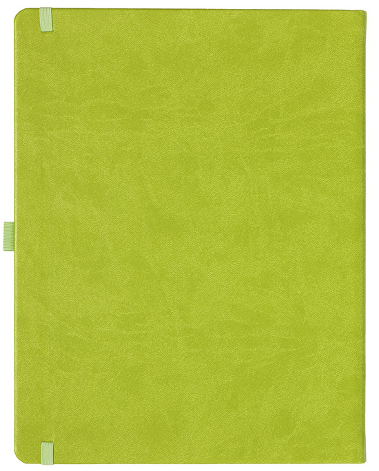 Notizbuch Style Large im Format 19x25cm, Inhalt blanco, Einband Slinky in der Farbe Lime