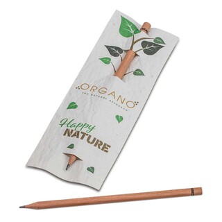 Bleistift im Samenpapieretui - Kopfsalat, Druck 4/4c, Lasergravur