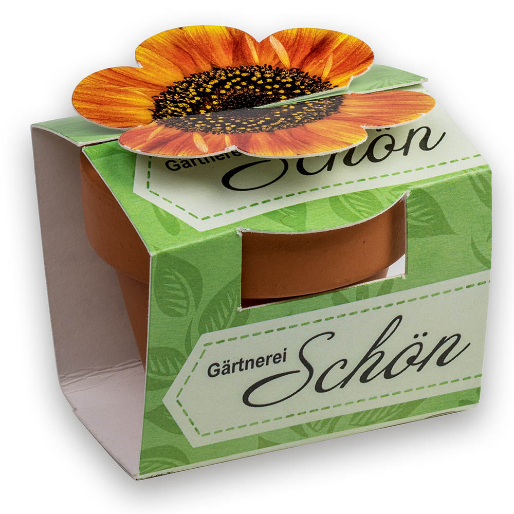 Tontöpfchen-Blume mit Samen - Kräutermischung