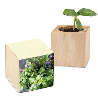 Pflanz-Holz mit Samen (Graspapier-Banderole) - Kräutermischung