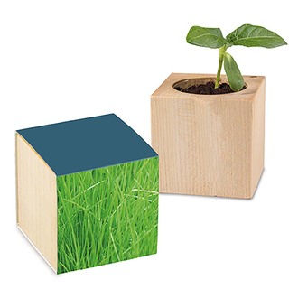 Pflanz-Holz mit Samen - Gras
