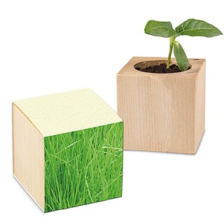 Pflanz-Holz mit Samen (Graspapier-Banderole) - Gras, 1 Seite gelasert