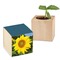 Pflanz-Holz mit Samen - Sonnenblume, 1 Seite gelasert