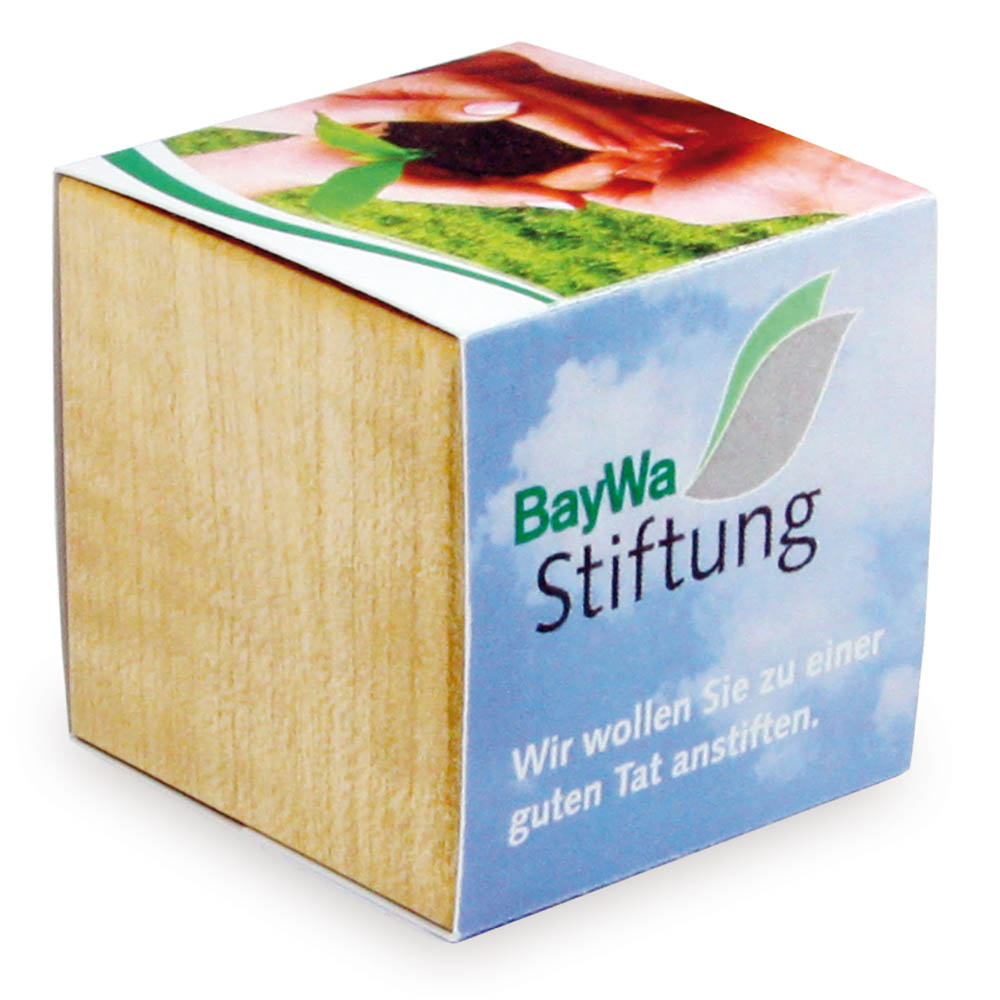 Pflanz-Holz mit Samen (Graspapier-Banderole) - Margerite, 2 Seiten gelasert