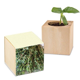 Pflanz-Holz mit Samen (Graspapier-Banderole) - Thymian, 2 Seiten gelasert