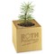 Pflanz-Holz Star-Box mit Samen - Gewürzpaprika, 2 Seiten gelasert