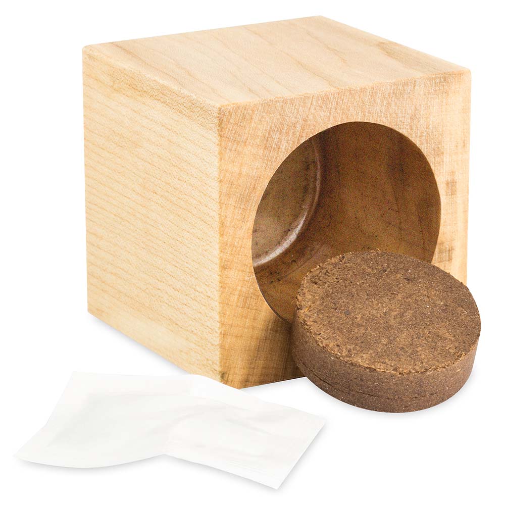 Pflanz-Holz Star-Box mit Samen - Kräutermischung, 2 Seiten gelasert