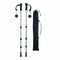 Ausziehbare Trekking-Stöcke FIT AND FUN 56-0606109