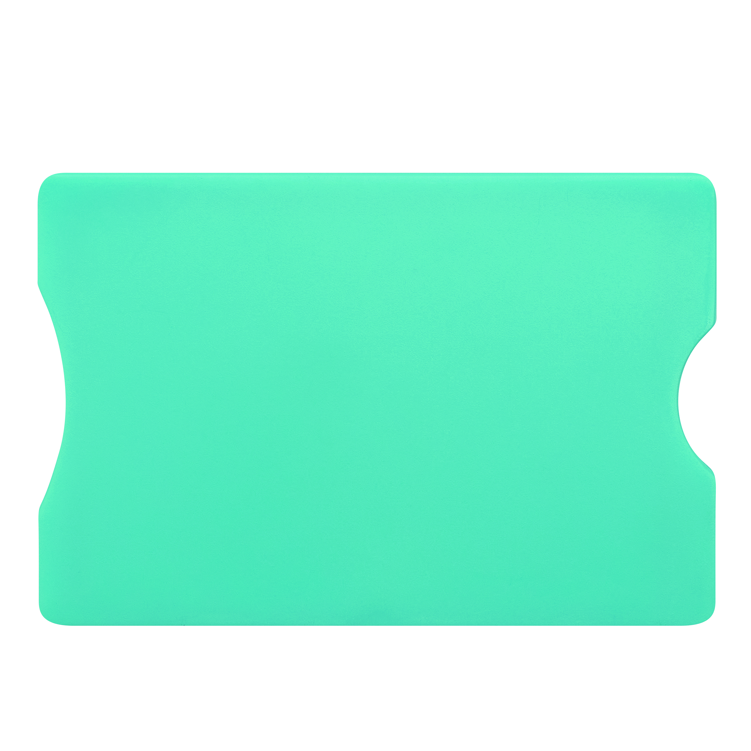 Bankkartenhülle PROTECTOR