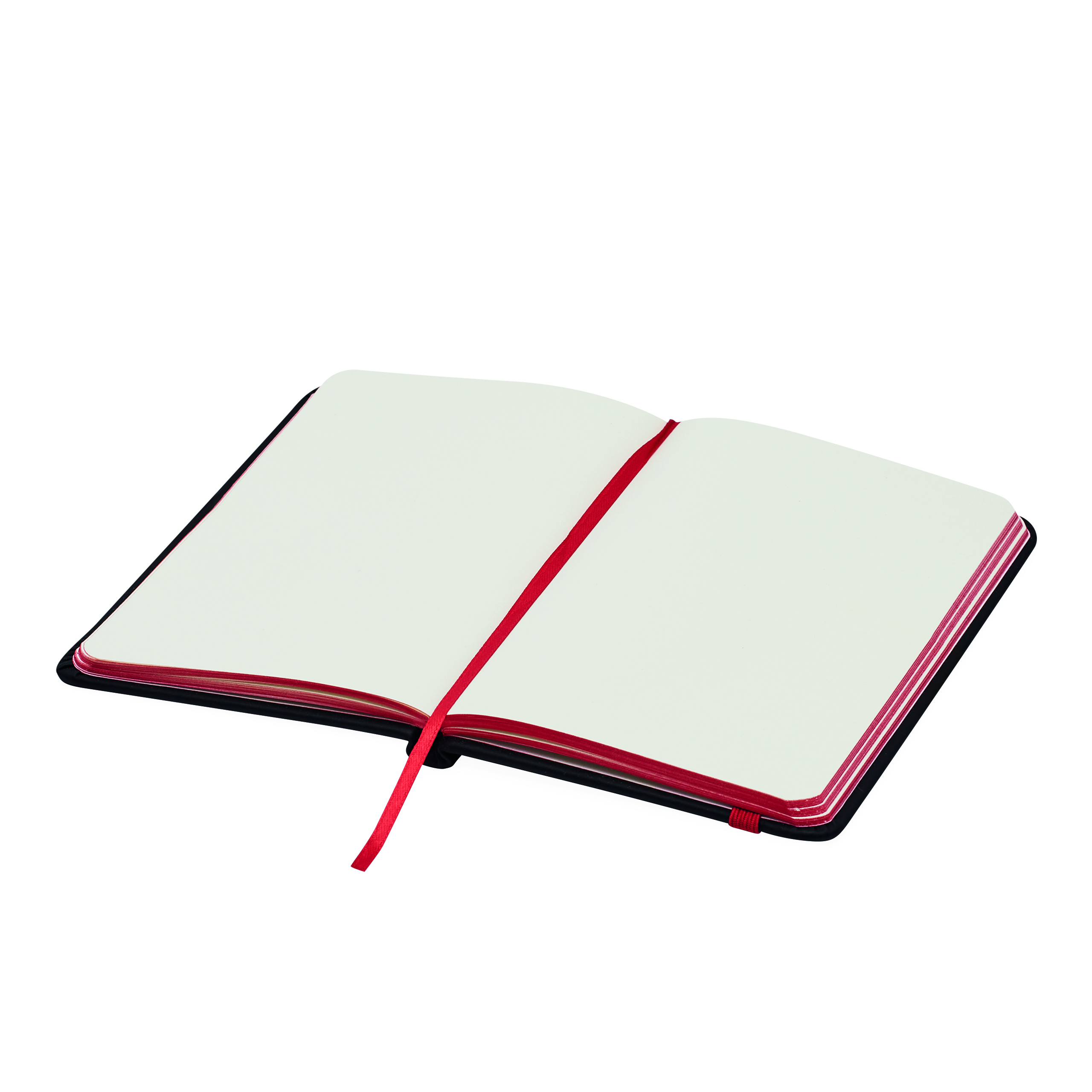 Notizbuch LECTOR im DIN-A6-Format