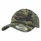 Low Profile Camo Washed Cap