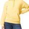 GSF500 Softstyle® Midweight Sweat Adult Hoodie