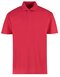 Regular Fit Workforce Polo