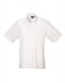 Men`s Poplin Short Sleeve Shirt